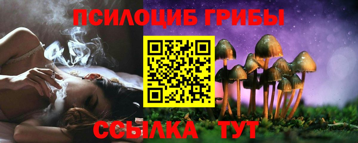 Галлюциногенные грибы Psilocybine cubensis Грязи